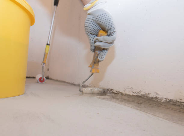 Best Fumigation Services  in USA